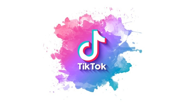 Por qué TikTok es más atractivo que Reels, según Instagram